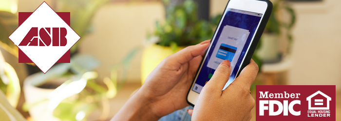 Female hands holding smartphone with credit card image on it